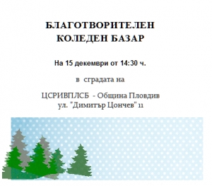 Благотворителен Коледен базар на ЦСРИ за възрастни правонарушители и лица със статут на бежанци
