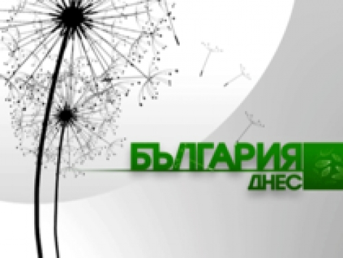 Група за подкрепа на осиновители